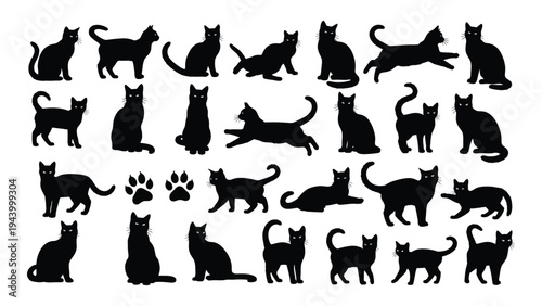 Collection of diverse feline silhouettes in various poses and orientations