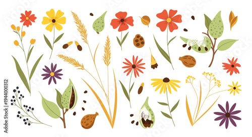 Botanical Elements: Flowers, Seeds, Leaves, and Grasses - Flat Design