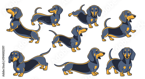 Cute Dachshund Dog Collection: Various Poses, Cartoon Style