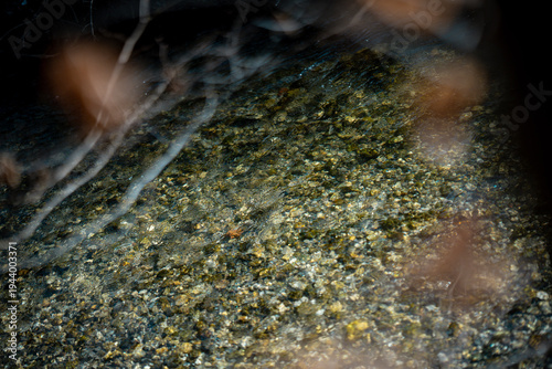 Tableau sur toile Clear Water Of Amper River Near Munich: Pebbled Riverbed Visible Through Flowing