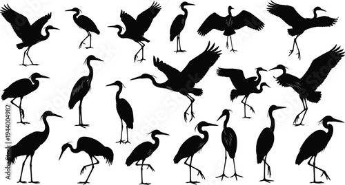 Black Heron and Crane Silhouette Vector Set, Hand Drawn Egret Illustrations, Elegant Wetland Bird Poses Isolated on White Background for Design (21 words)