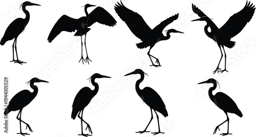 Black heron silhouette vector set, wild egret and crane wetland bird collection, avian wildlife standing and flying isolated on white background, bundle,