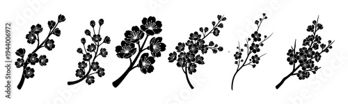 Black cherry blossoms decorate white backgrounds.