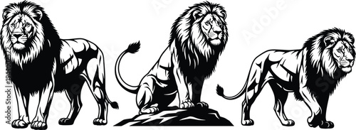 Black lion illustration vector set, majestic male lion mascot collection, wild predator animal graphics isolated on white background for logo,