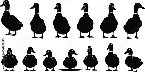 Black Llama Silhouette Vector Set, Hand Drawn Alpaca Illustrations, Farm Animal Outlines Isolated on White, Standing Andean Wildlife Profile Graphics for Design (21 words)