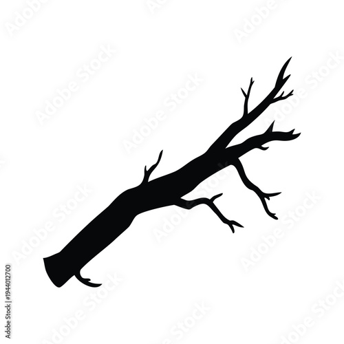 dead slender branch silhouette vector illustration, Silhouette of a tree branch with intricate details, vector illustration design