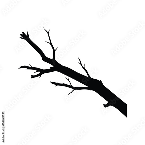 dead slender branch silhouette vector illustration, Silhouette of tree branch with intricate details, elegant vector illustration