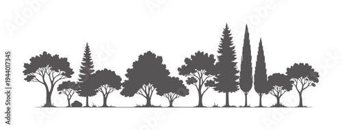 Silhouettes of various deciduous and coniferous trees in monochrome pine