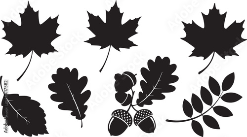 Collection of various black leaf silhouettes and acorns illustration