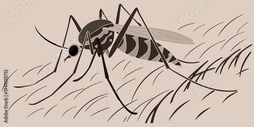 A creepy black macro illustration of a scary widow spider predator on a white background, perfect for a horror-themed Halloween design featuring this dangerous arachnid.