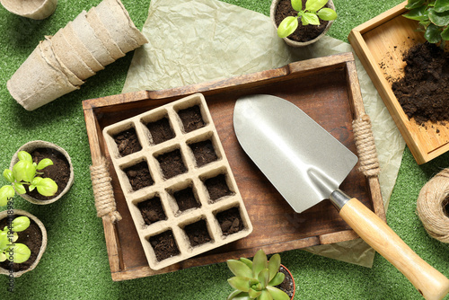 Composition with potted pla...