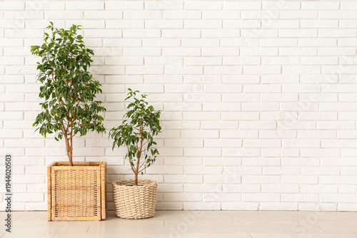 Wicker pots with green hous...