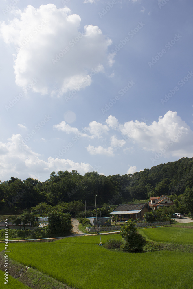 Obraz premium Countryside