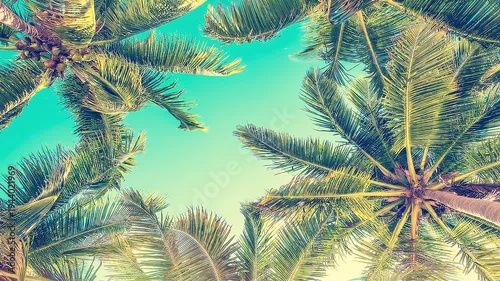 Looking up at palm trees from below, gently moving in the wind, tropical summer vibes background, HD video footage, seamless loop