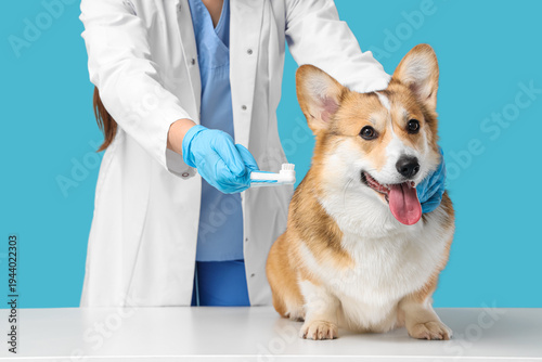 Veterinarian with finger to...