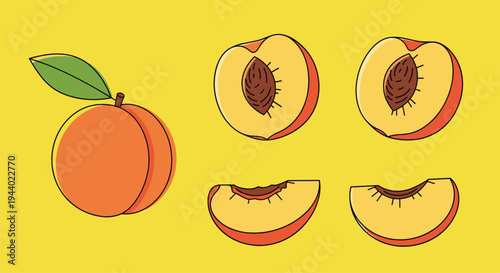 Whole peach fruit and several slices showing the stone and flesh in a flat vector design on a yellow background for food themes.