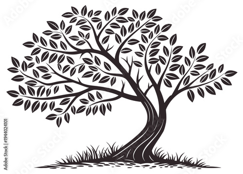 A detailed illustration of a large tree with a thick trunk and sprawling branches isolated on transparent background, isolated on white background, Vector