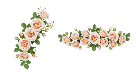 Elegant light pink rose flower corner and border arrangements with green leaves, perfect for wedding invitations and decorative designs isolated PNG with Transparent Background