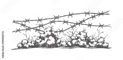 Hand drawn barbed wire fence over thorny bushes and grass