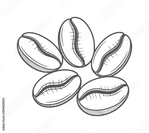 Hand drawn of five coffee beans arranged in a cluster food