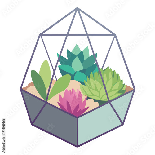 Vibrant geometric terrarium featuring a collection of colorful succulent plants on a white surface
