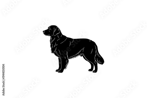 Detailed black silhouette of standing dog on white background