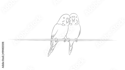 Budgerigar Sketch: A minimalist sketch of two budgerigars perched side-by-side, their delicate forms and gentle expressions rendered in simple, elegant line work.