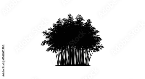 Silhouette of Dense Bamboo Forest in Black and White