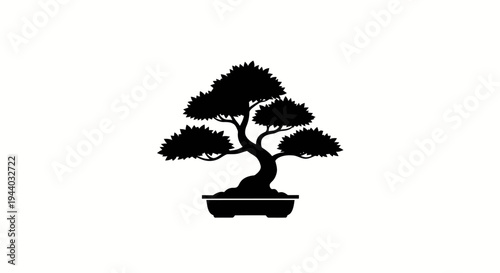 Serene Bonsai Tree in a Stylish Pot for Interior Decor