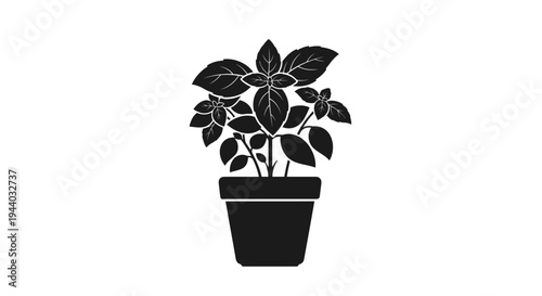 Silhouette of a potted plant with lush leaves in black and white