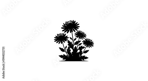 Silhouette of Ginkgo Biloba Tree with Distinct Fan-Shaped Leaves