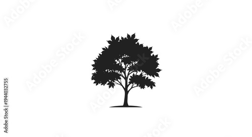 Silhouette of a Classic Tree Against a White Background