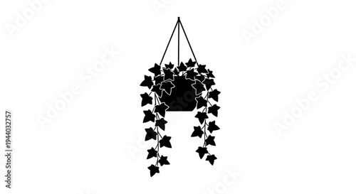 Decorative hanging ivy plant silhouette for home or garden