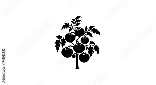 Silhouette of Apple Tree with Fruit and Foliage