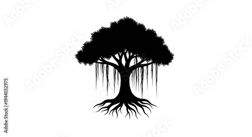 Silhouette of a Tree with Spreading Branches and Visible Roots