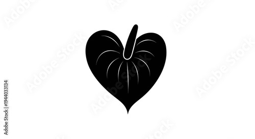 Silhouette of a Heart-Shaped Leaf with Radiating Lines