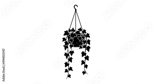 Hanging ivy plant silhouette in black and white