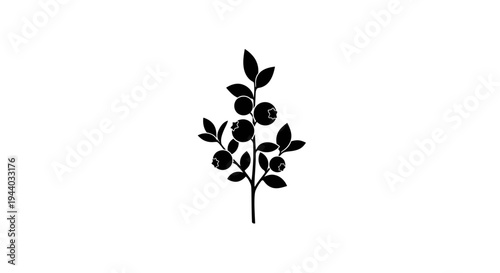 Silhouette of a Small Fruit-Bearing Tree with Leaves and Berries