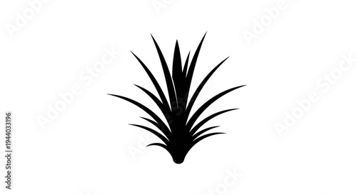 Minimalist Black and White Tropical Plant Illustration