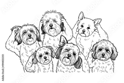 Adorable hand drawn dogs scratching heads in black and white sketch art