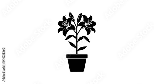 Silhouette of a potted plant with leafy branches on white background