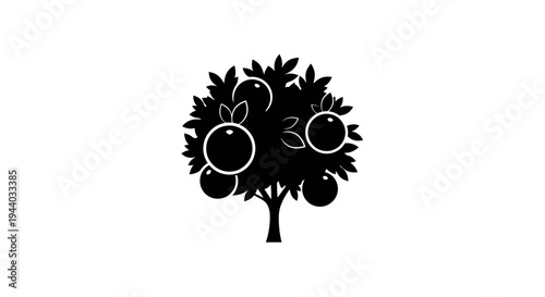 Silhouette of a Fruit-bearing Tree with Lush Foliage