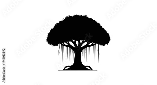 Silhouette of a Large Tree with Hanging Moss