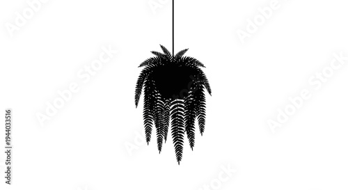 Hanging African Dreadlock Style Plant Illustration