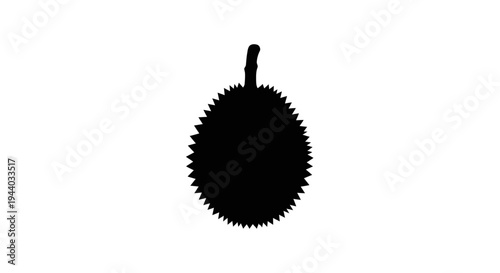 Silhouette of a round spiky seed or fruit against white background