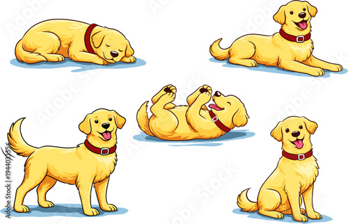 Vecor Golden Retriever illustration set poses