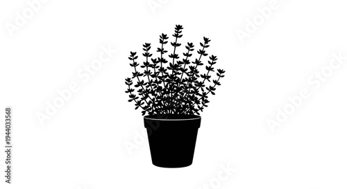 Silhouette of a potted plant with dense foliage against white background