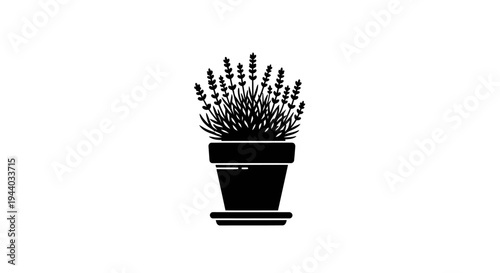 Silhouette of Potted Lavender Plant on Plain Background