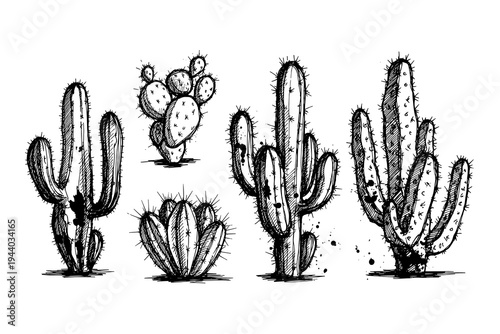Intricate hand-drawn cacti and succulents collection in black and white