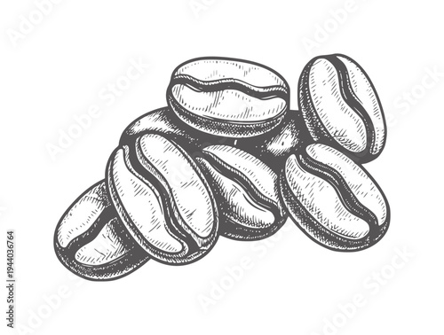 Hand drawn pile of dark roasted coffee beans